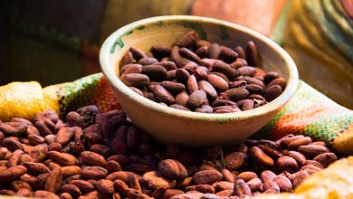 Schokoladenmanufaktur Fatima