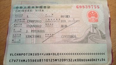 Viasum China