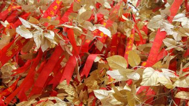 Konfuzius Tempel in Nanjing