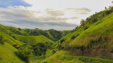 Das Inselinnere von Tobago
