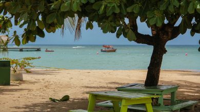 Tobago - Strand am Pidgeon Point
