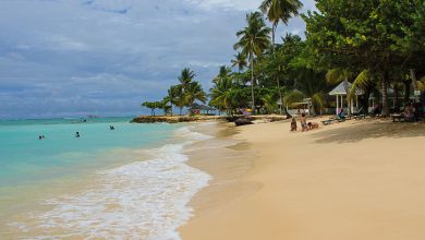 karibischer Traumstrand Pigeon Point