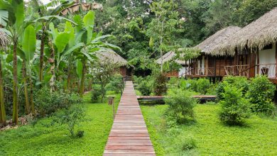 Die Sacha Lodge in Ecuador