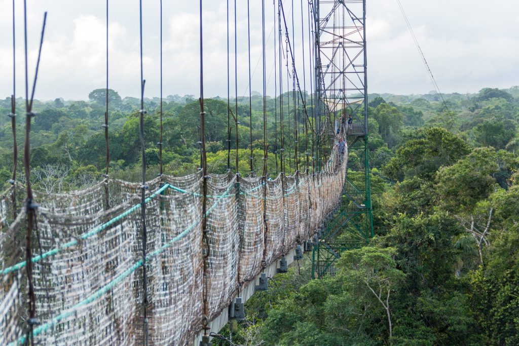 Canopy Walk der Sacha Lodge