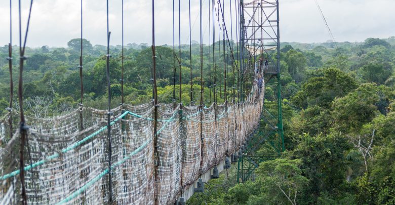 Canopy Walk der Sacha Lodge