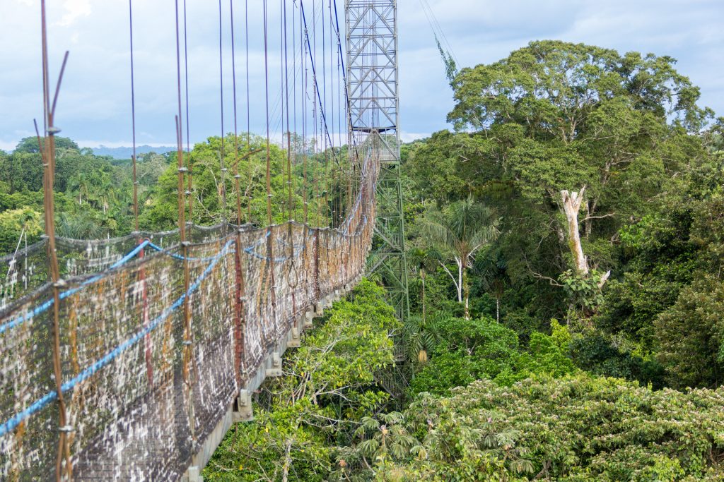 Canopy Walk der Sacha Lodge