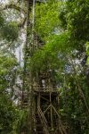 traditioneller Holzturm der Sacha Lodge