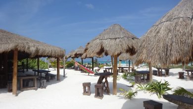 Sonnenschirme am Paradise Beach in Tulum