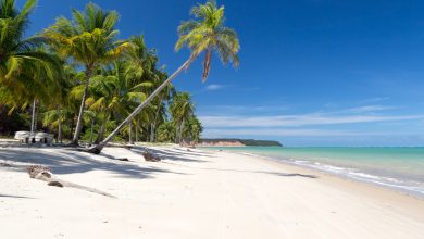 An der Costa dos Corais bei Maragogi, Alagoas