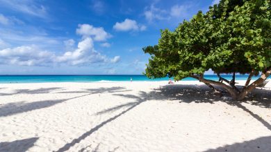 Am Eagle Beach auf Aruba