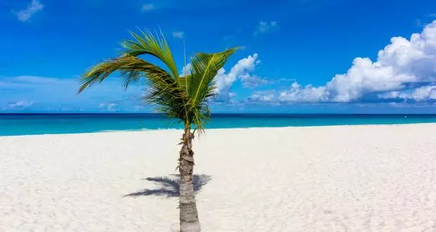 Am Eagle Beach auf Aruba