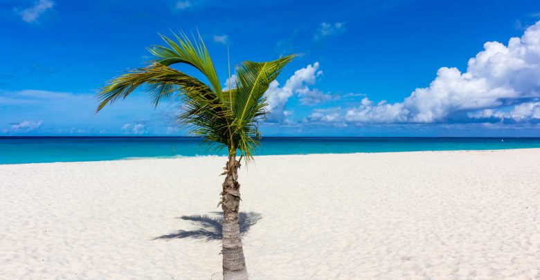 Am Eagle Beach auf Aruba