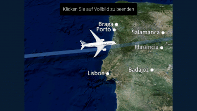 Flugübersicht in der Air Europa App
