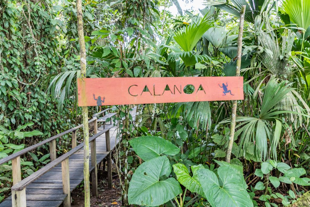 Die Calanoa Jungle Lodge in Kolumbien am Amazonas
