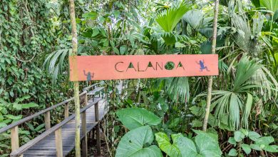 Die Calanoa Jungle Lodge in Kolumbien am Amazonas