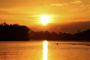 grauer und rosa Flussdelfin im Sonnenuntergang