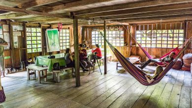 Aufenthaltsraum mit Hängematten in der Casa Gregorio