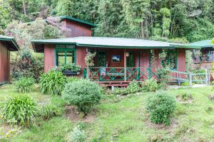 Die Bungalows in der Trogon Lodge