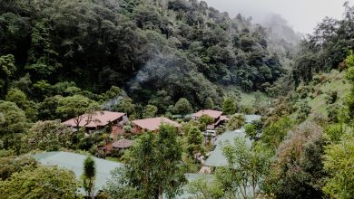 Blick über die Trogon Lodge in San Gerardo de Dota, Costa Rica