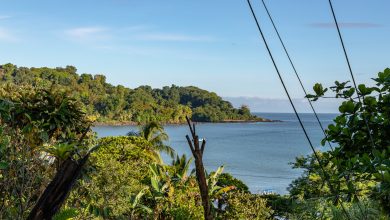 Blick über die Drake Bay in Costa Rica