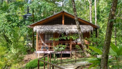 Hidden Paradise Lodge in Drake Bay, Costa Rica