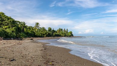 Strand von La Sirena im Corcovado Nationalpark