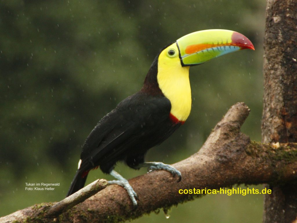 Reiseführer Costa Rica Highlights vom Heller Verlag
