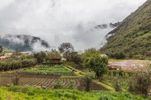 Blick über den Gemüsegarten ins Tal