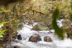 der Rio Papallacta