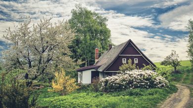Urlaub zuhause in Zeiten von Corona - Ideen & Denkanstöße