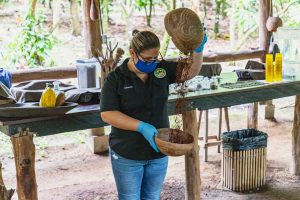 der Wind bläst die Schalen weg