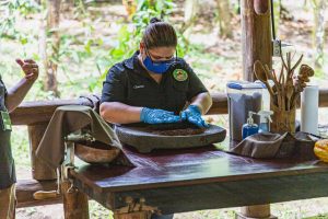 Walzen vom Kakao zwischen Steinen