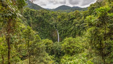 Der La Fortuna Wasserfall in Costa Rica