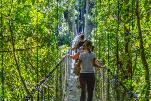 Hängebrücke im Park