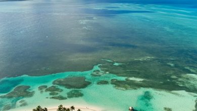 Bahamas – das vielseitige Inselparadies in der Karibik