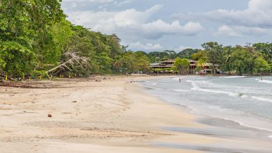 Am Strand vom Cahuita Nationalpark