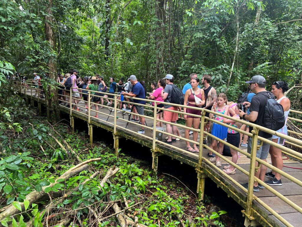 Nationalpark Manuel Antonio: gerne einmal überfüllt