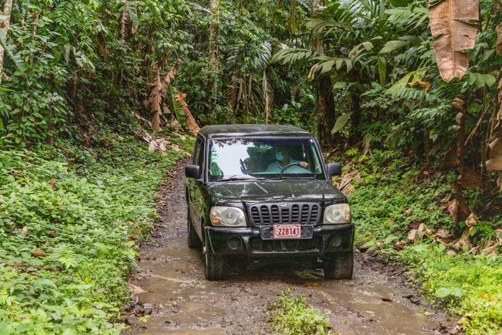 Im Mietwagen durch den Wald in Costa Rica