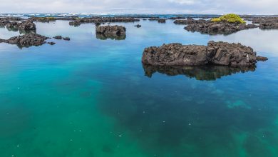 Das Meer lädt zum Baden ein - ist bei den Galápagos-Inseln jedoch richtig frisch