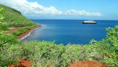 Kreuzfahrtschiff am roten Sandstrand auf Rabida