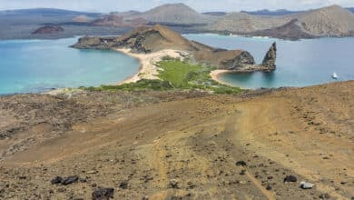 Die Insel Bartolomé auf Galapagos (Quelle: kuhnmi, flickr)
