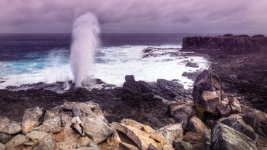Española auf Galápagos