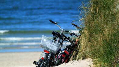 Mit dem Rad an der Nordsee