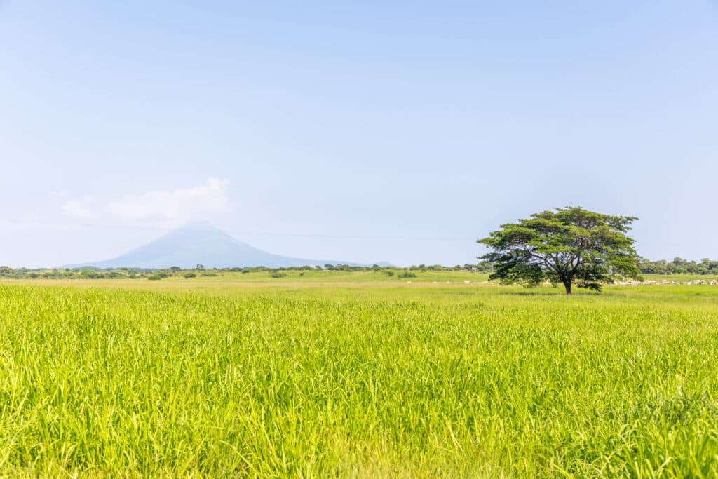 Das grüne Hochland von Nicaragua