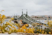 Die Freiheitsbrücke in Budapest