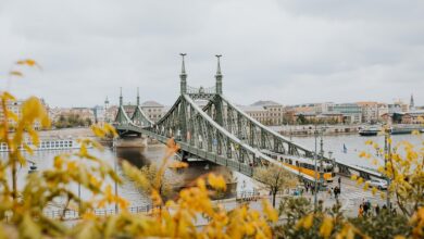 Die Freiheitsbrücke in Budapest