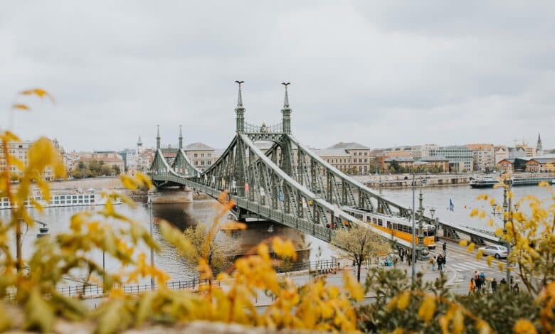 Die Freiheitsbrücke in Budapest
