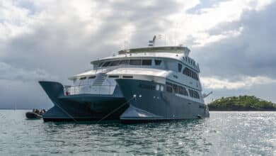 Galápagos - Kreuzfahrt oder Insel-Hüpfen