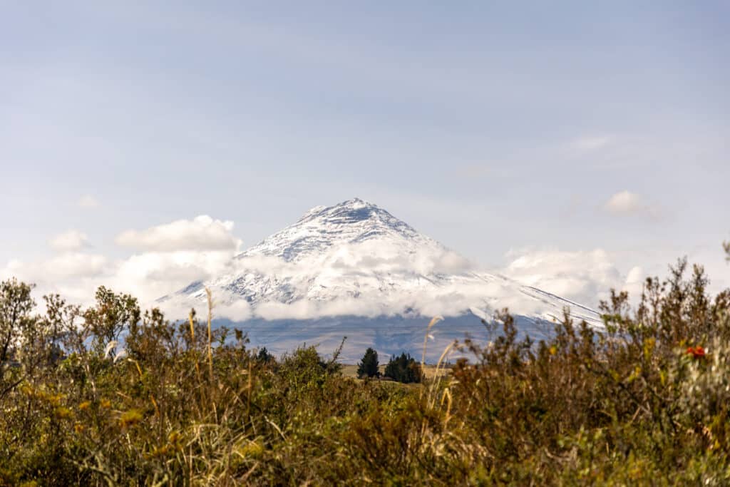Blick auf den Cotopaxi