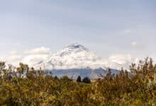 Blick auf den Cotopaxi